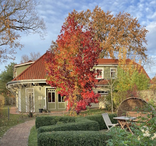 Bio Hotel Gingko Mare